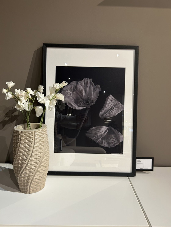 Image 1 of Boconcept - Fauna 2 Art Gallery