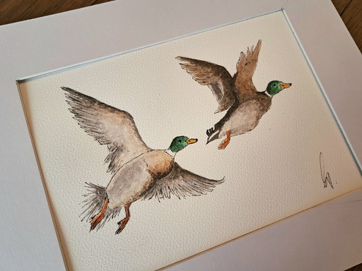 Watercolor painting flying ducks | Original in frame