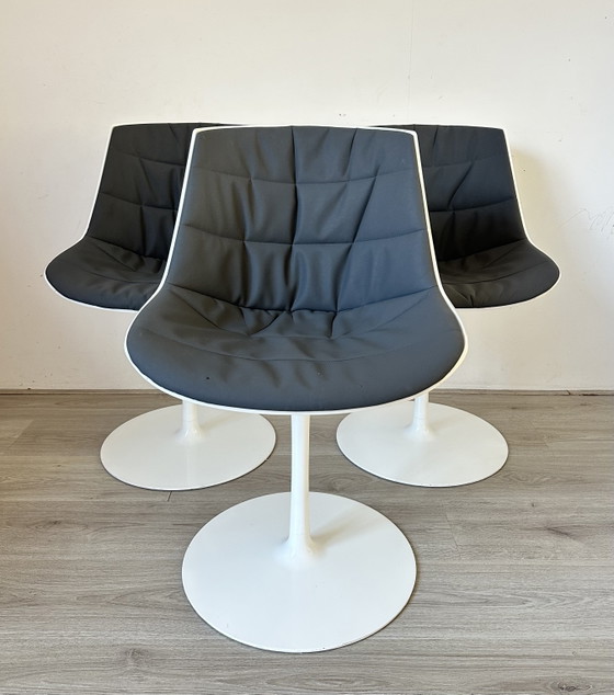 Image 1 of 6 Esszimmerstühle von MDF Italia Flow Design