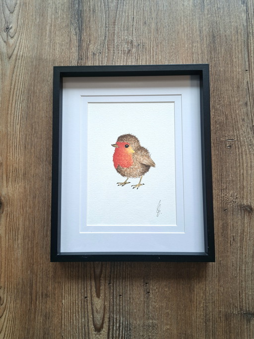 Original Robin Watercolor Painting | Including Frame
