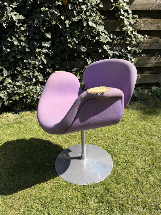 Image 1 of Little tulip Artifort (purple) badly damaged