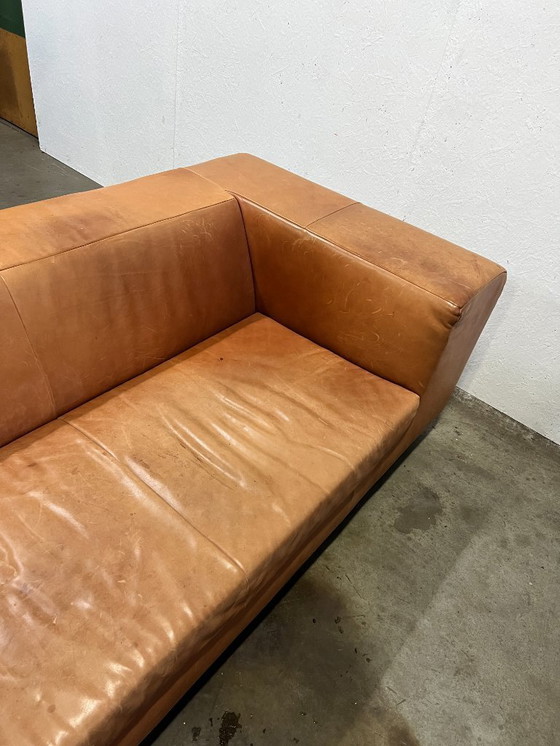 Image 1 of Sofá XL, Montis Malou, Tapizado en Cuero, Coñac