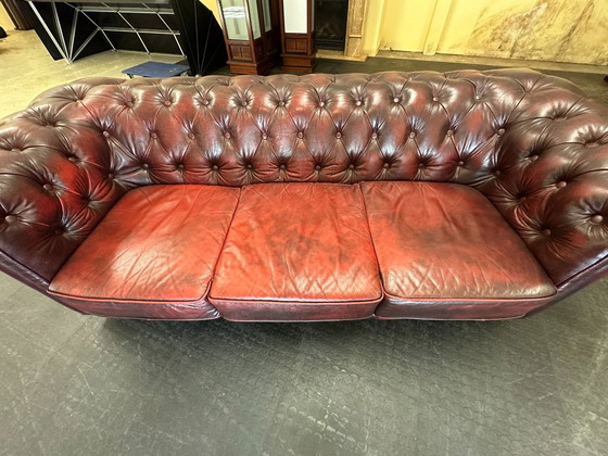 Chesterfield Sofa Worn. Oxblood Leather. 2.5 Seaters. – Chesterfield brand, 3-5 seaters, Wood (photo 5 of 8)