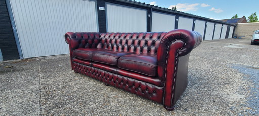 Original Springvale Chesterfield canapé 3 places en rouge sang de boeuf