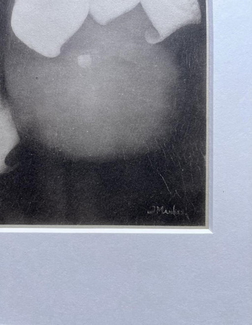 Jan Mankes 1889-1920 / Héliogravure originale Lys Calla 1923