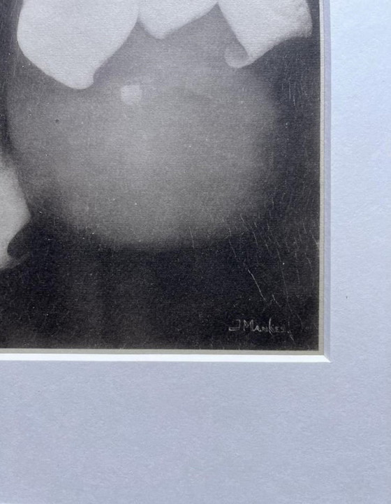 Image 1 of Jan Mankes 1889-1920 / Héliogravure originale Lys Calla 1923