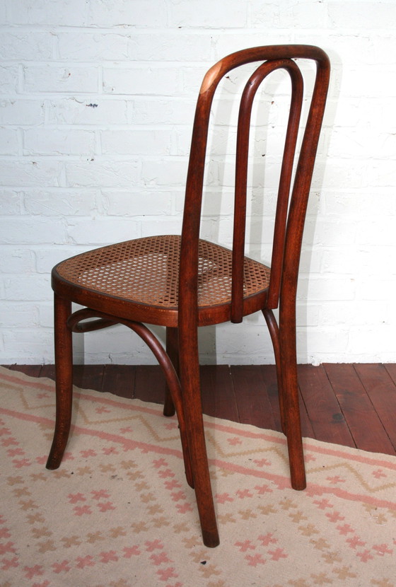 Image 1 of Alter restaurierter Thonet Typ N°391
