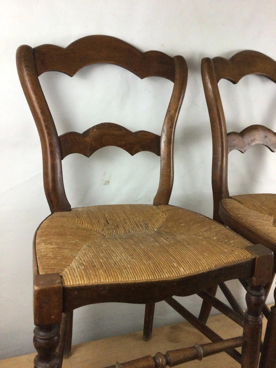 Coppia di sedie pacciamate – Sedie da pranzo, Wood (photo 3 of 11)