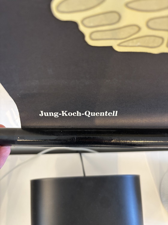 Image 1 of Affiche pédagogique botanique – Anatomie des conifères (Pin) – Lehrmittelverlag Hagemann, Düsseldorf 