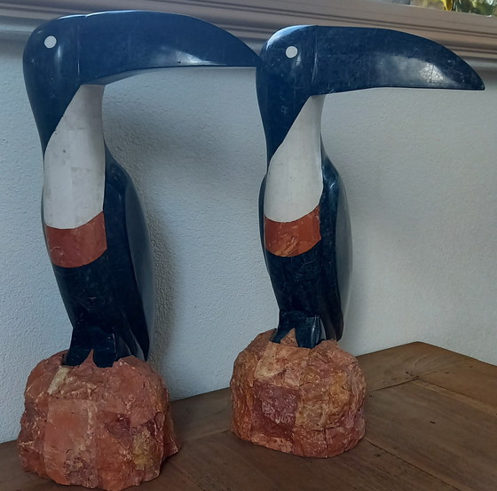 Image 1 of 2 toucans marbrés