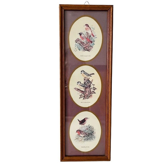 Image 1 of Vintage ingelijste prent met drie vogel tafereeltjes schilderij