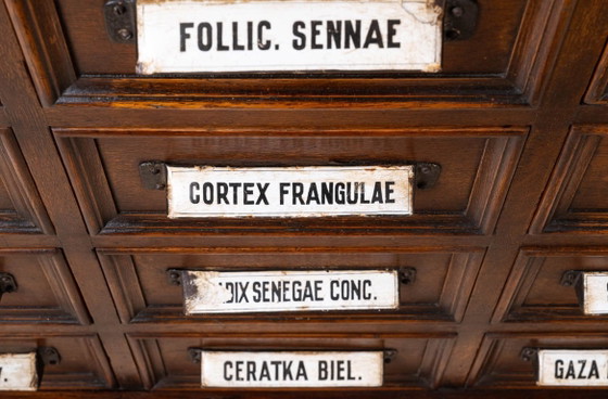 Image 1 of Cassettiera da farmacia, in legno massello di quercia, restaurata, inizio XX secolo.
