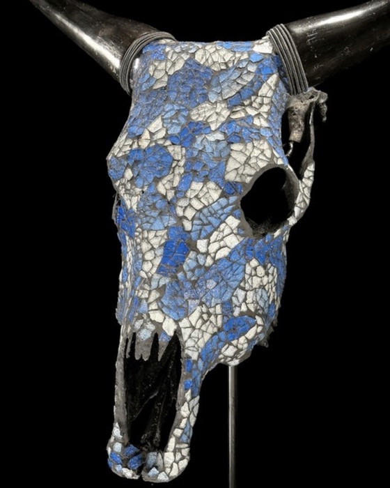 Image 1 of Véritable crâne de vache indonésien avec mosaïque 