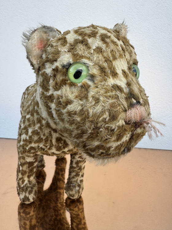 STEIFF pluche luipaard uit de jaren 50 – Decoratieve objecten, Textile (photo 13 of 15)