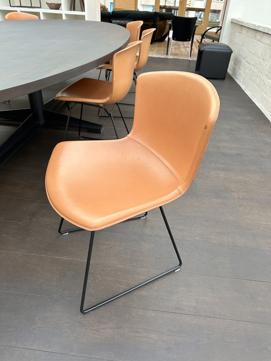 Image 1 of 8x bertoia side chair saddle leather