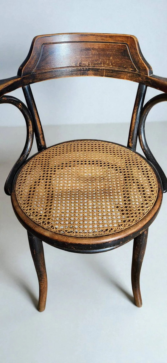 Sillón Thonet No. 6003 – Sillones, Wood (photo 7 of 11)
