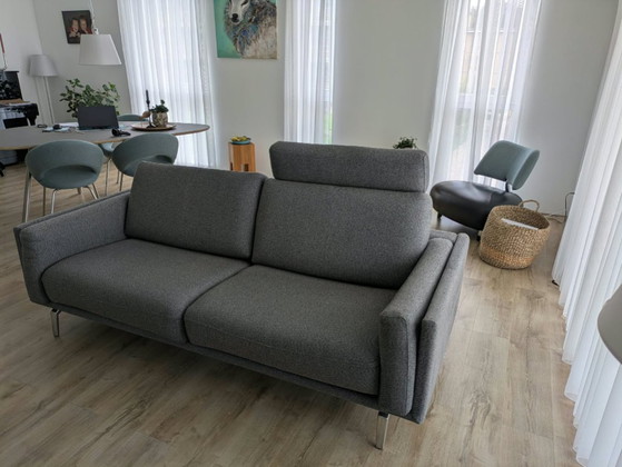 Divano Leolux Bellice 2,5 posti. – Divani, Metallo, Tessile (photo 4 of 7)