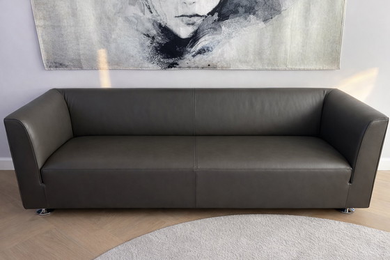 Image 1 of Moderne leren Gelderlander  2.5 bank – strak design & goede staat