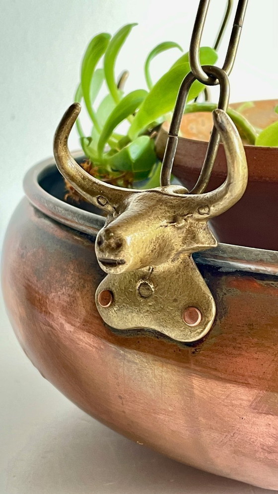 Image 1 of Fioriera sospesa con 3 bufali d'epoca