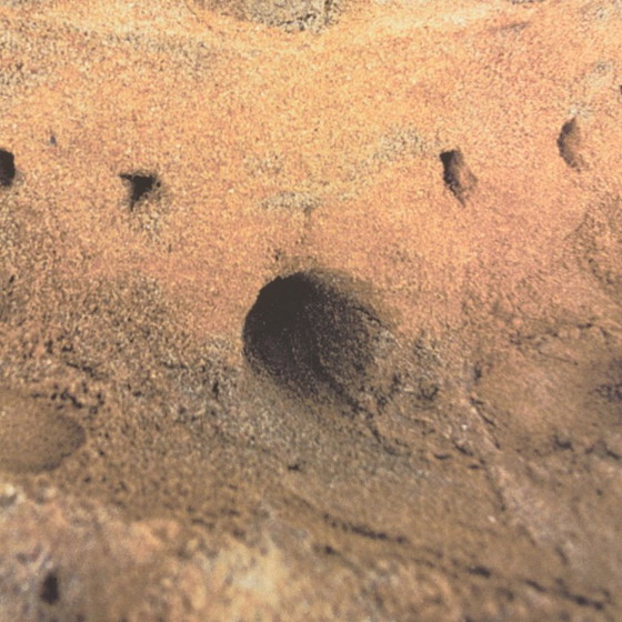 Image 1 of  "Città liquida"