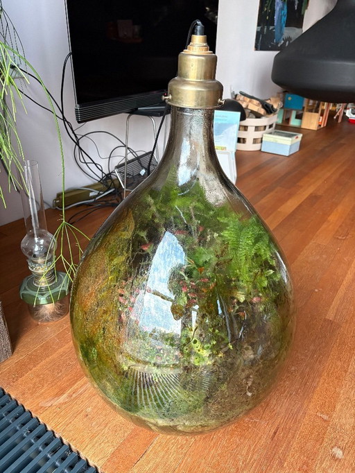 Cavolini di Bruxelles Grande Fratello