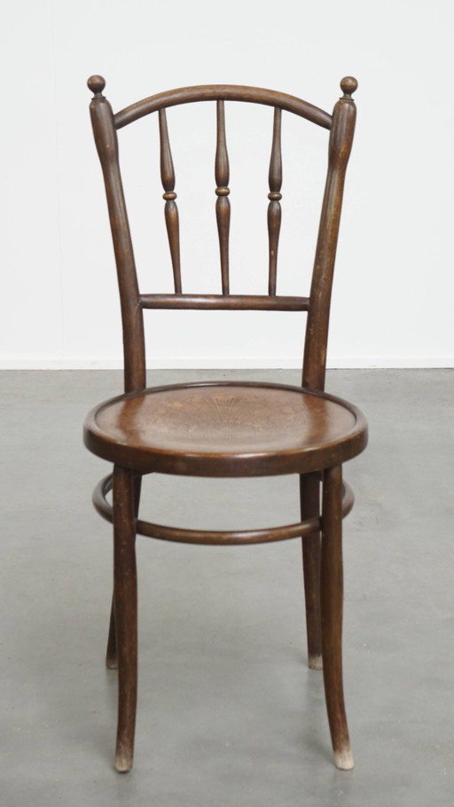 Chaise de bistrot dans le style de Thonet avec de belles sculptures dans l'assise
