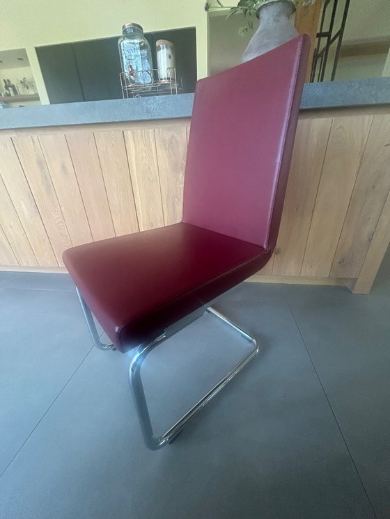 Image 1 of Sedie da pranzo Rolf Benz 620 rosso scuro
