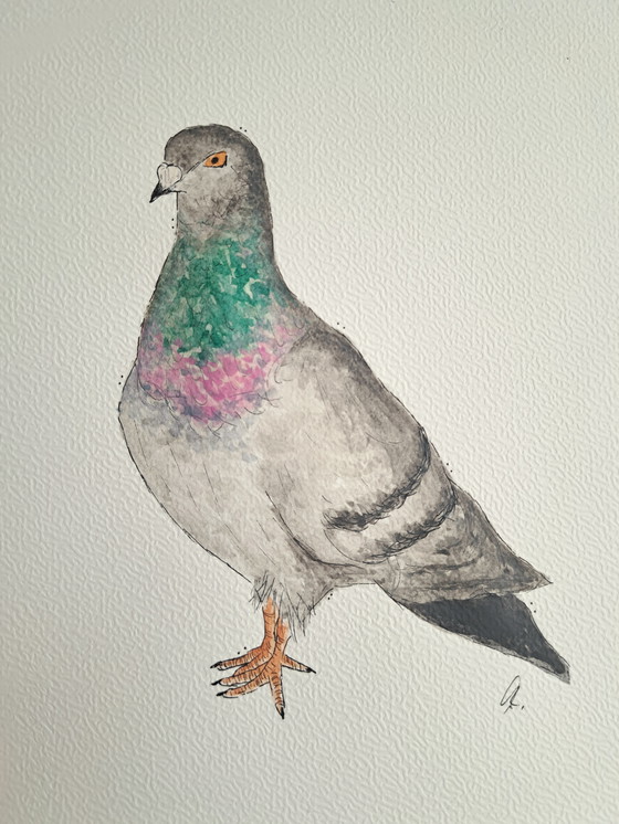 Image 1 of Watercolor painting of a dove | Gold-colored frame