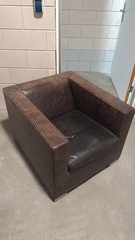 Minotti Armchair in Brown Crocodile Leather Look – fauteuils (photo 2 of 5)