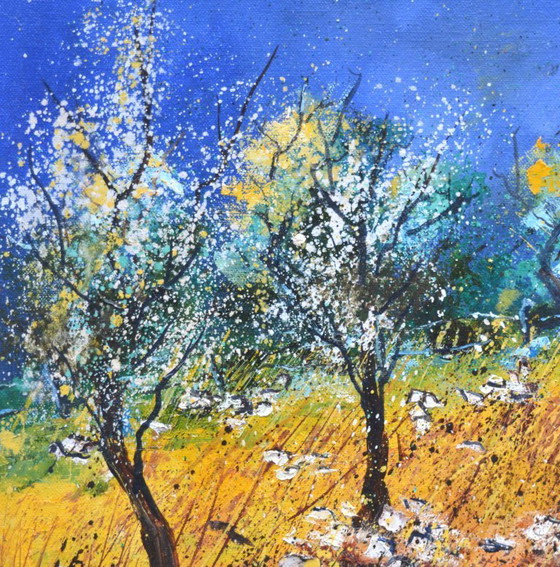 Image 1 of Un huerto floreciente