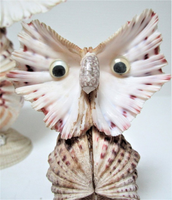 Image 1 of due gufi scultura vintage in conchiglia