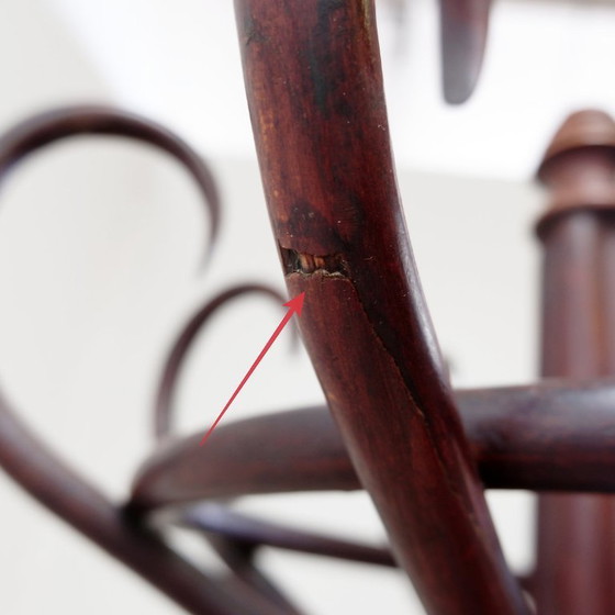Image 1 of Grote kapstok van gebogen hout in de stijl van een papegaai, in de Thonet-uitvoering – begin 20e eeuw