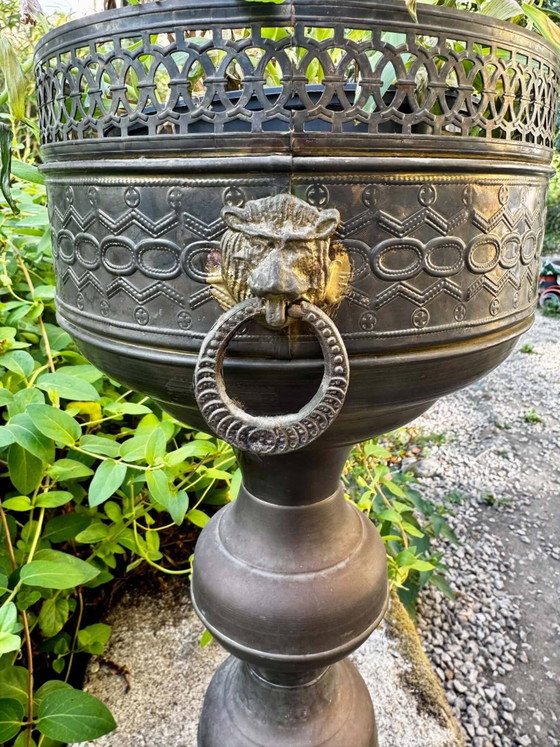 Grande Vasi per piante leone in ottone su supporto in stile barocco Art Nouveau. – Brass, Barok (photo 4 of 6)