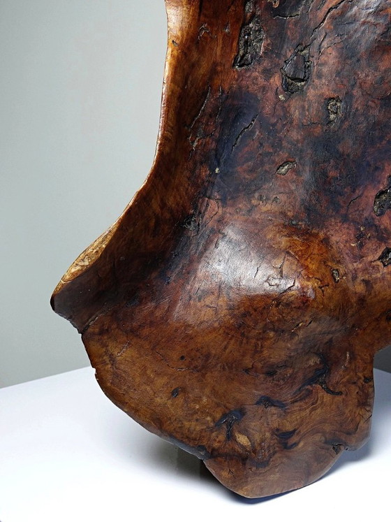 Image 1 of Grande coupe monoxyle en bois brut d'olivier foncé années 50