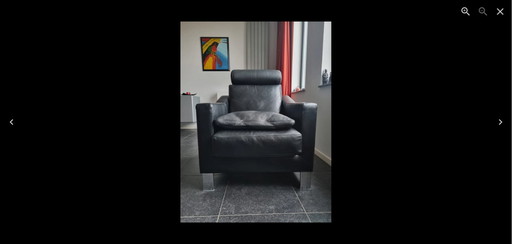 Leolux fauteuil Antonia Leder