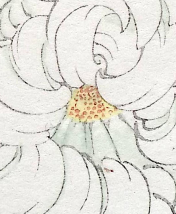 Keika Hasegawa "One Hundred Chrysanthemums" – Paintings & Drawings, Paper (photo 10 of 14)