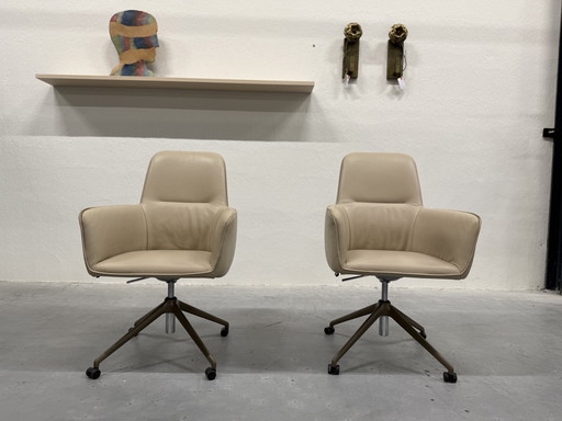 2 Leolux Gyon High Flex Swivel Chair Senso Blossom plus