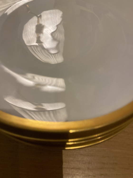 Image 1 of Assiettes en porcelaine Hutschenreuther Noblesse, lot de 6