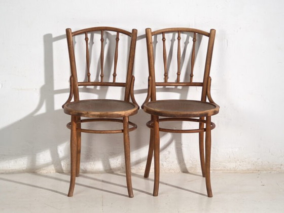 Pair of Thonet style bentwood chairs with turned spindles – Central Europe, circa 1920 – Dining chairs (photo 24 of 40)