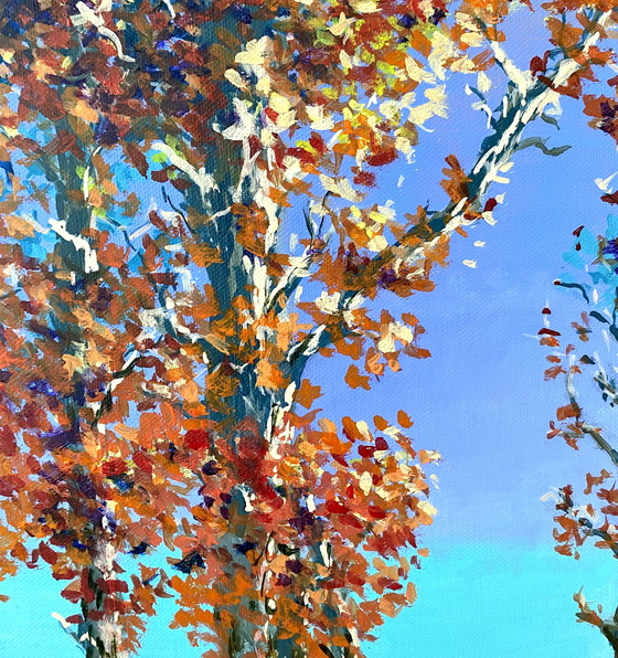 Image 1 of Sea Meets Land