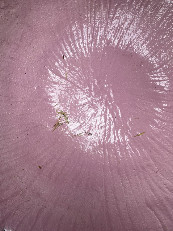 Image 1 of Large XXL bowl of ECRI hardy fired clay