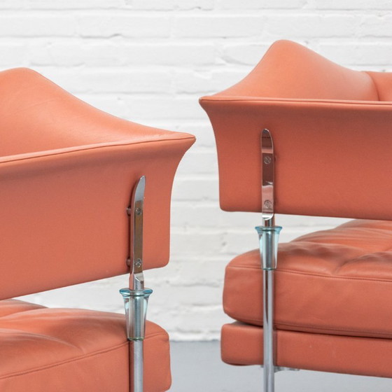 Image 1 of Set van 2 Hydra Sirius Fauteuils Poltrona Frau 