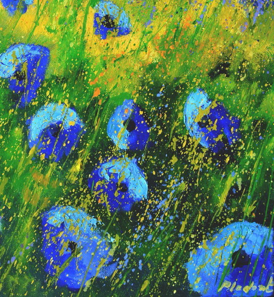 Image 1 of Papaveri blu 67