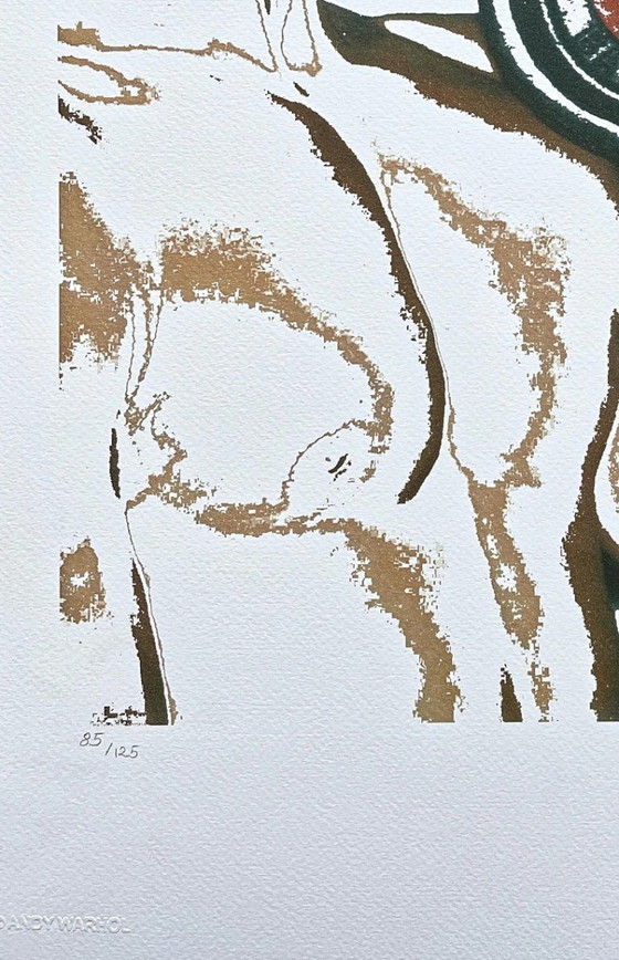 Naar Andy Warhol, Bodybuilder, jaren 80, lithografie – Litho's & Zeefdrukken, Paper (photo 3 of 7)