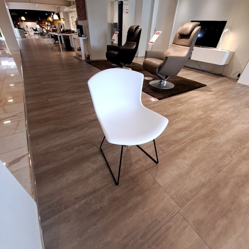 Knoll International Bertoia eetkamerstoel