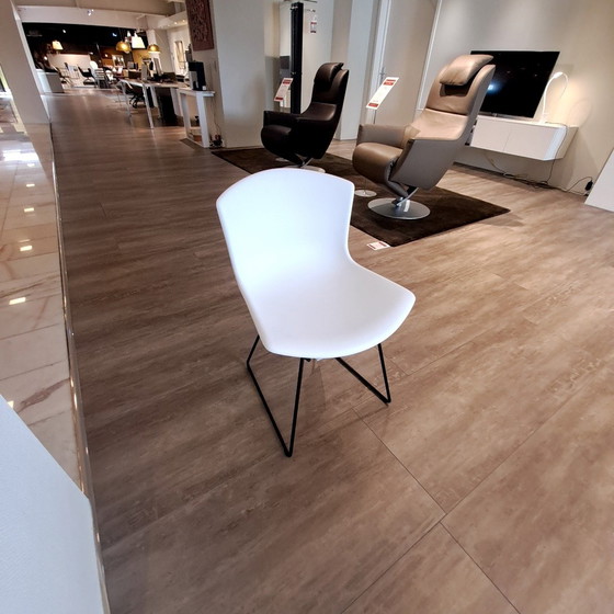 Image 1 of Chaise de salle à manger Bertoia de Knoll International