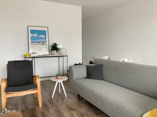 Sofá de 4 plazas Eyye Dura en lana