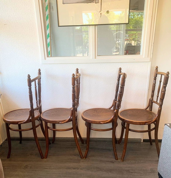 Image 1 of 4 sillas Thonet de los años 1920/1930 MUNDUS Viena