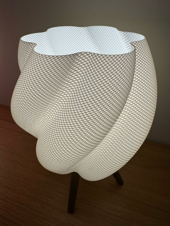 Image 1 of Aurelia Sculptural Lamp