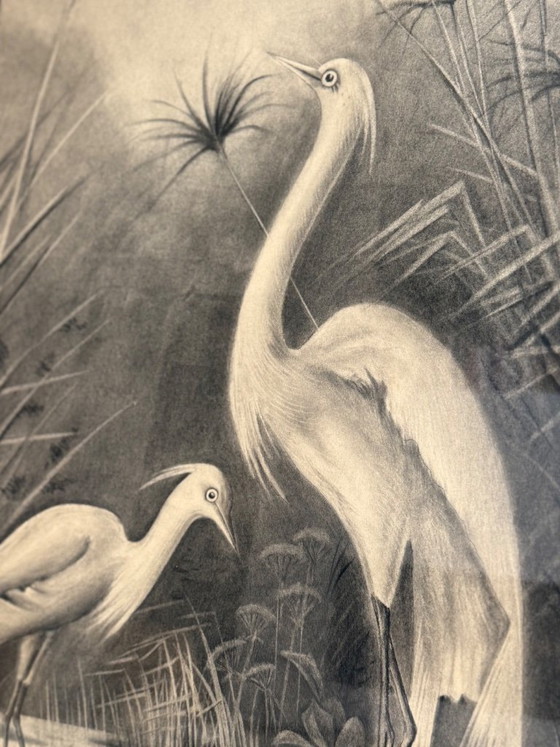 Image 1 of Naturalist charcoal drawing from the early 20th century